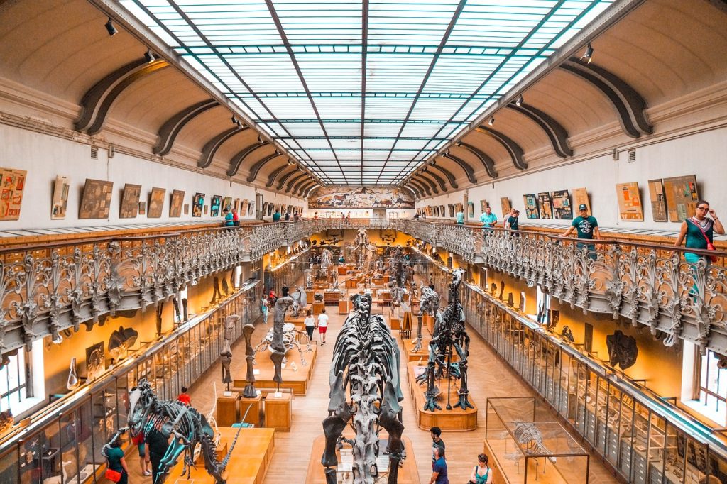 Les Bases du Dessin de Dinosaure
