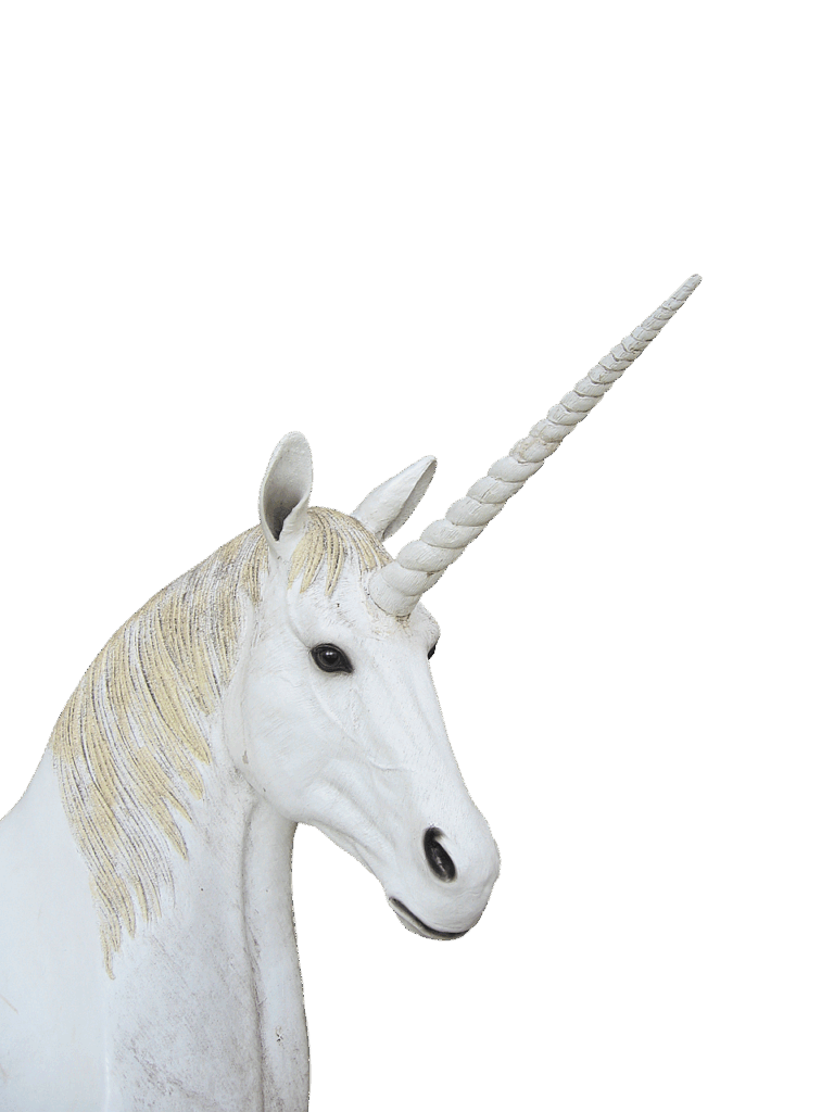 Les Fondamentaux du Dessin de Licorne