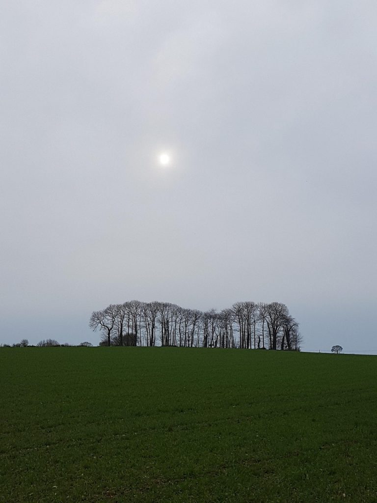 Les étapes pour créer un arbre dessin efficace