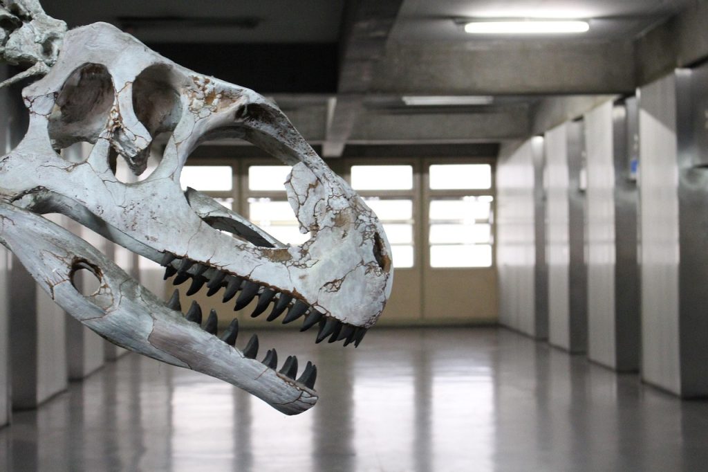 Comment Choisir le Bon Dessin Animé Dinosaure pour Votre Enfant
