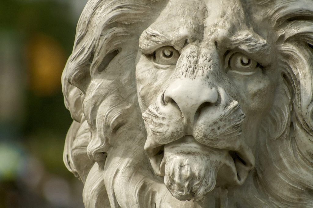 Les Outils Essentiels pour Dessiner un Lion
