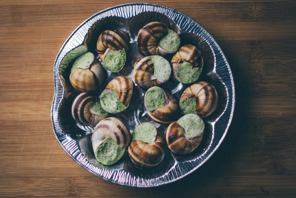 Les bases de l'escargot dessin