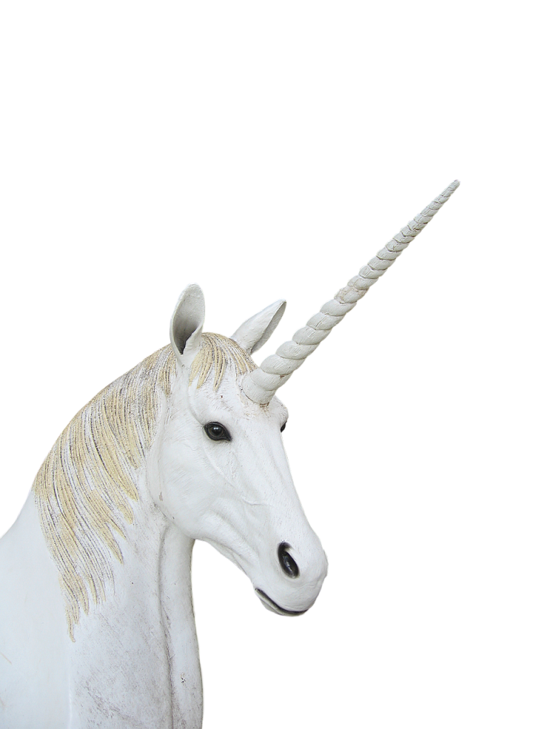 Pourquoi Dessiner une Licorne ?